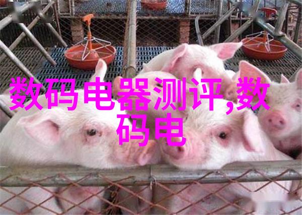 金融市场中的SLF利率理解其影响与未来走向