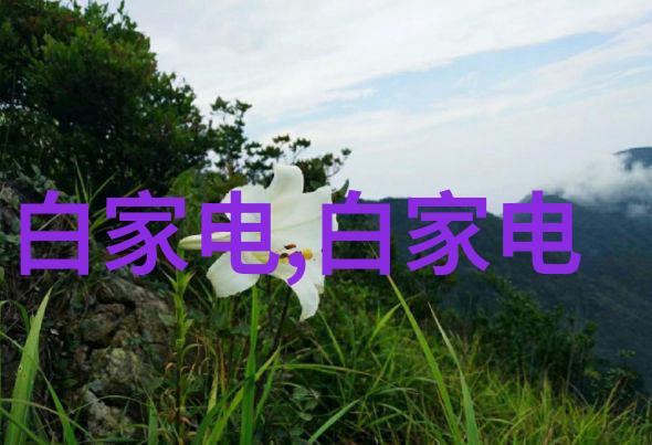 混沌中寻找秩序搅拌的艺术与哲学