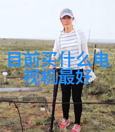 在全球范围内推广一款高质量的化学品交换应用程序面临什么难题与机遇