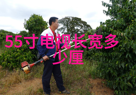 创意爆炸新品策划方案的艺术与科技融合