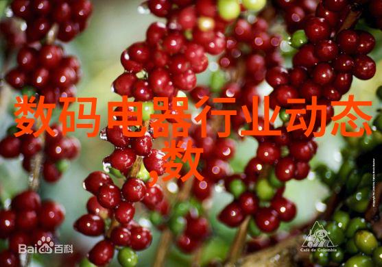水镜探寻清澈之境