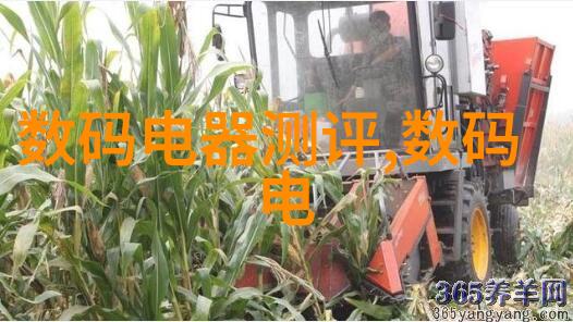 卫生间装修指南从小便池到大师作坊