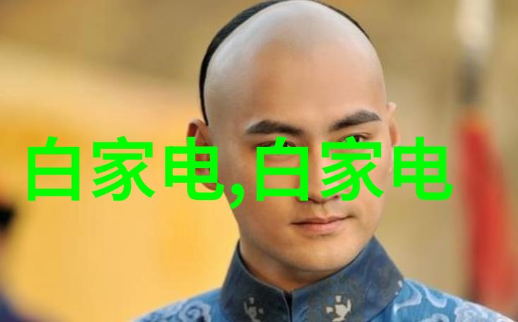 芯片之谜中国难以自主制造的背后原因探究