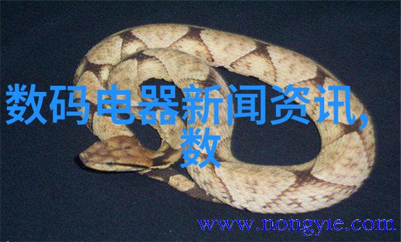 工业简约元素融入的巨型客厅设计理念