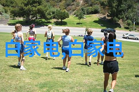 中国机械臂厂家排行榜钢铁巨人的舞台