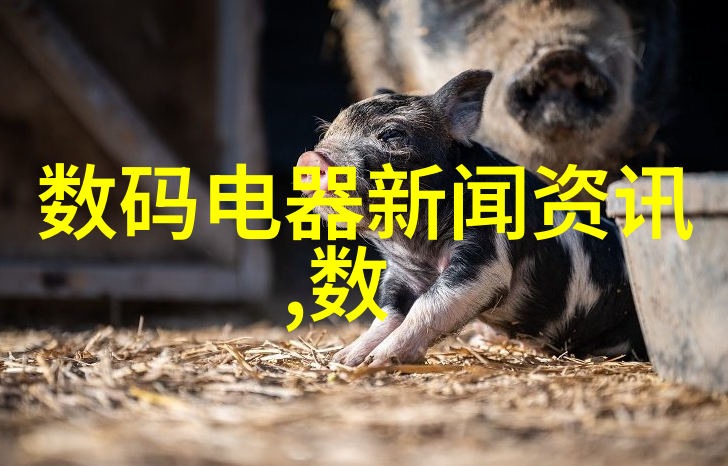 世纪华联背后的秘密是什么