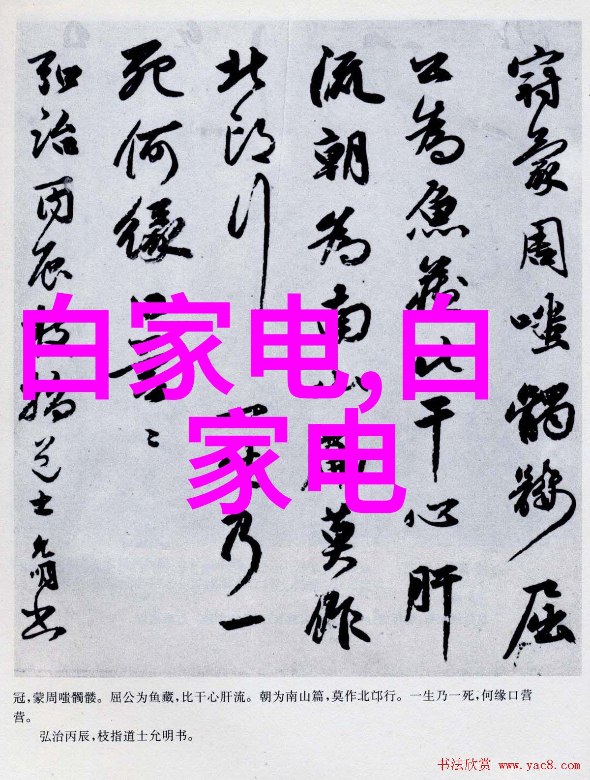 跨界合作共创优势广东水利电力职业技术学院与行业伙伴之间的深度交流