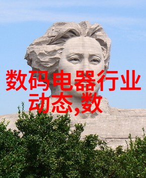 深渊之心反应器内部的秘密