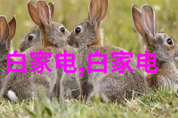 如何确定进行水质检测所需的28项参数