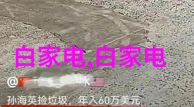 图书馆的女友我和她在静谧的角落里找到的秘密世界