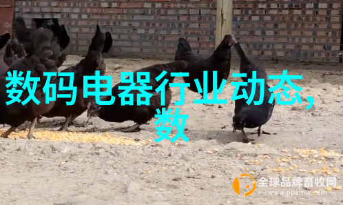 海盗心计偷窥他人的内心世界