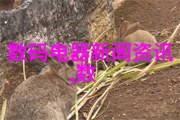 清澈源自混沌一体化饮用水净化设备的奇迹之旅
