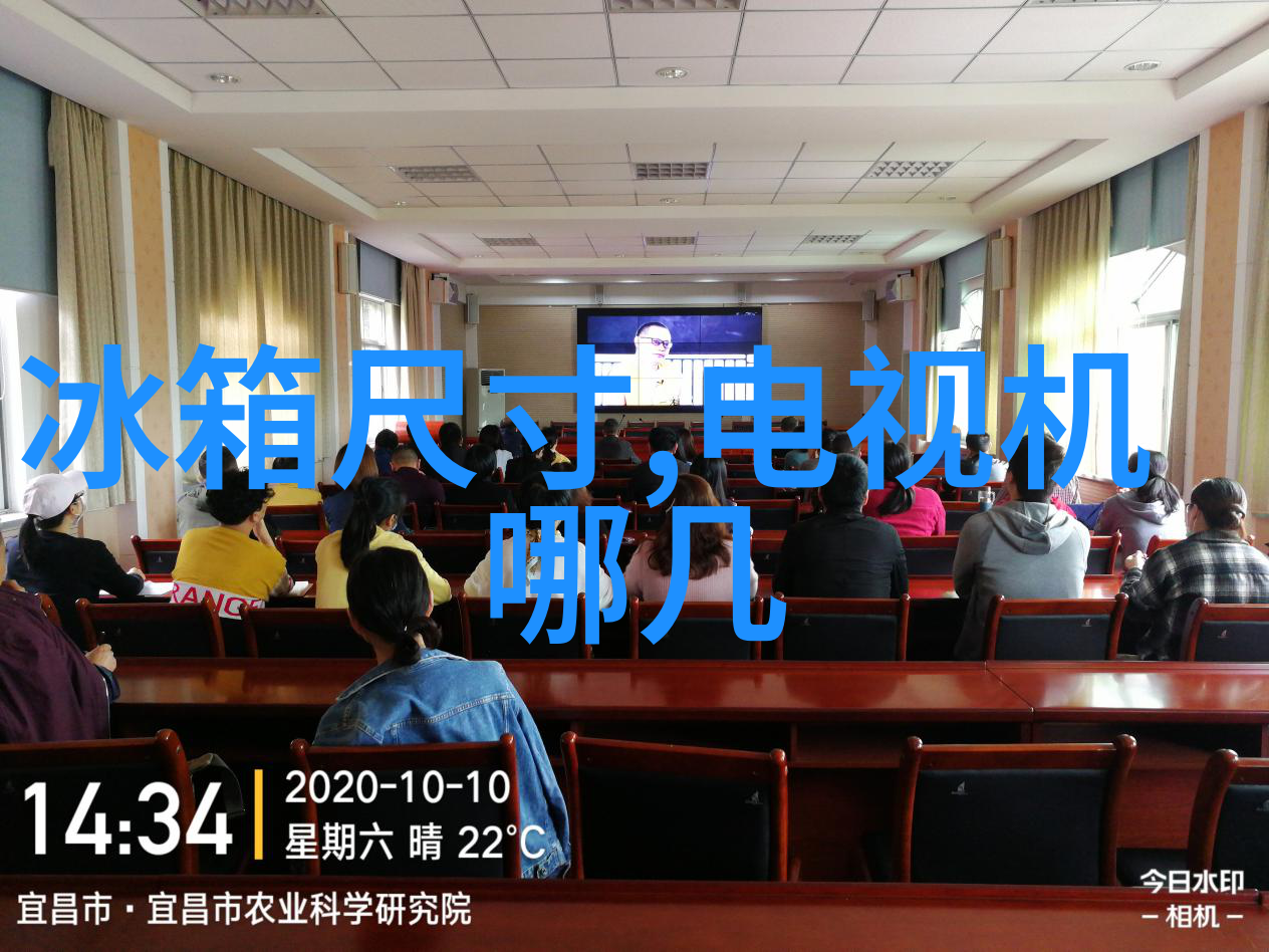 首席总裁的逃妻背后的秘密与新生的梦想