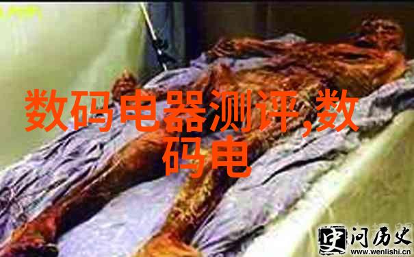 重生嫁给废太子逆袭之路