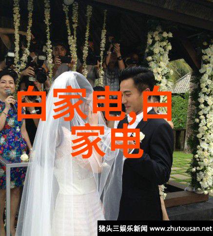 乳化剂使不溶性物质和溶剂共存的化学魔术
