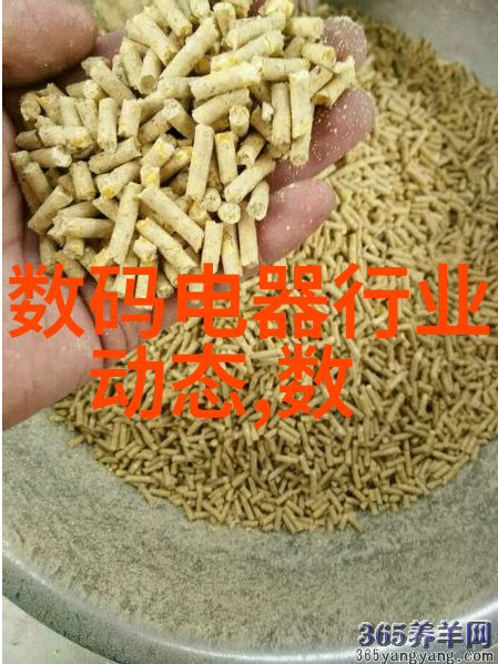 编织数字梦境一场奇妙的752y规整填料之旅