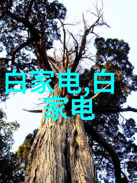 专利网查询入口我来帮你找到那些保护好想法的门户
