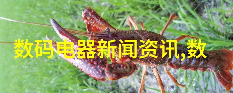 中国智能交通网-构建智慧出行新时代中国智能交通网的发展与挑战