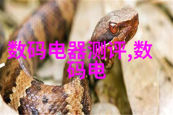 微波炉电子杀菌除味技术高效消毒与清新功能