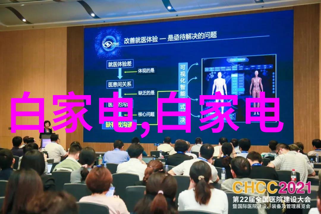 维护秩序还是牺牲自由深入剖析执行双重标准下面临的问题-例如对普通车辆和豪华车型在遭受警告或罚款中的待