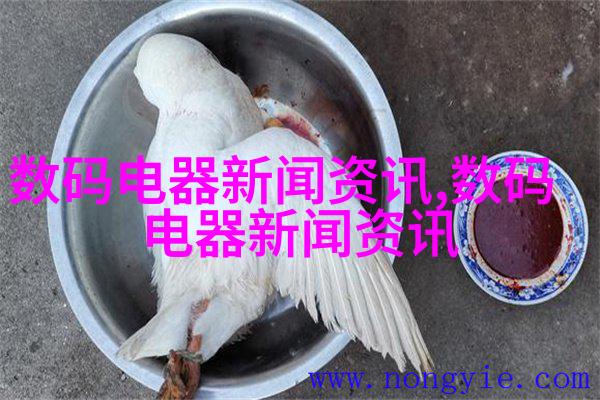 厚重木质厨房间