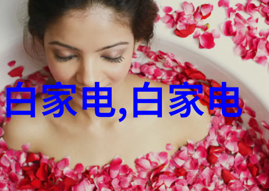 罗茨真空泵的神秘力量它究竟如何在无形中掌握着实验室和工厂的命脉