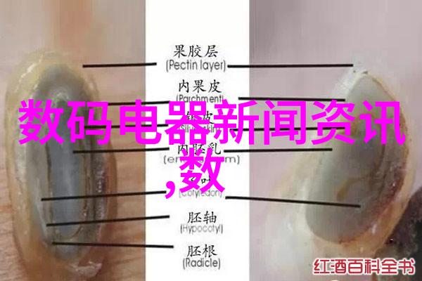 广西商贸学院职业教育的翅膀