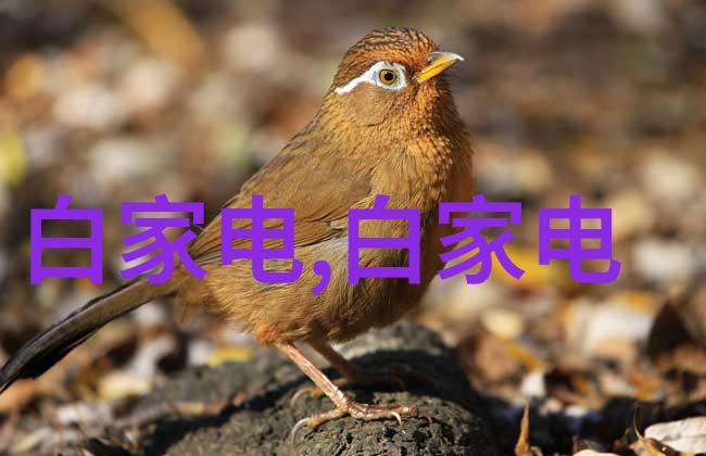 学数控后悔死了 千万不要-机床上的迷梦数控技术的诱惑与警示