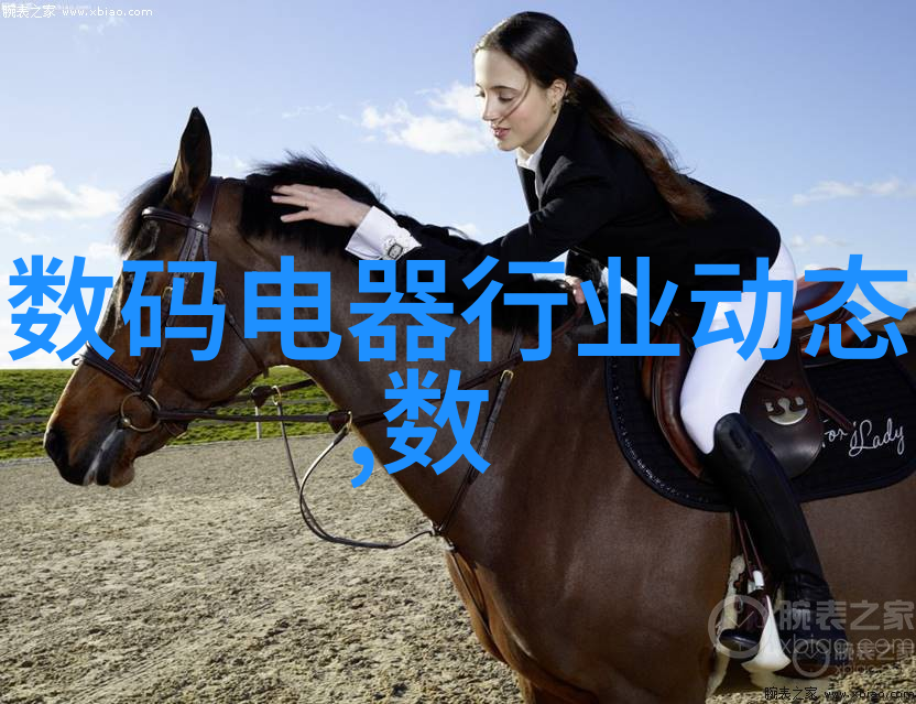 北森人力资源测评系统-精准评估智能决策北森人力资源测评系统的创新应用