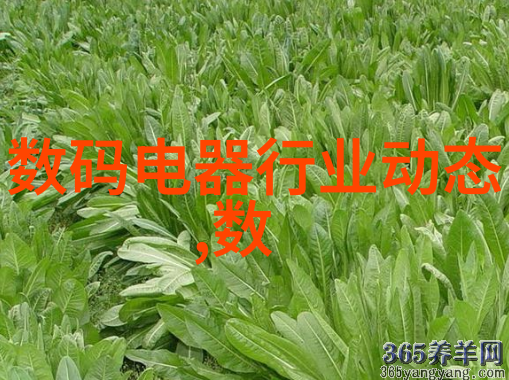 高效成品灭菌技术确保食品安全的关键要素
