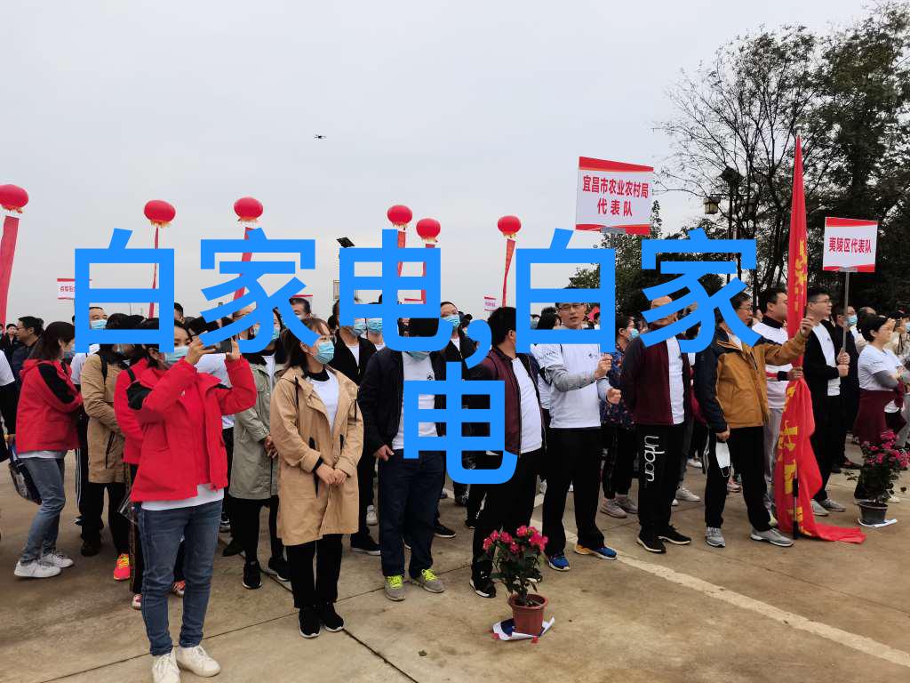 竹钢绿色建筑的未来之声探索竹子与钢结构的协同创新