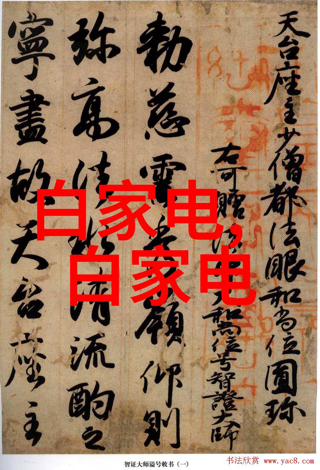 探究测水质笔的有效性解析其在环境监测中的应用价值