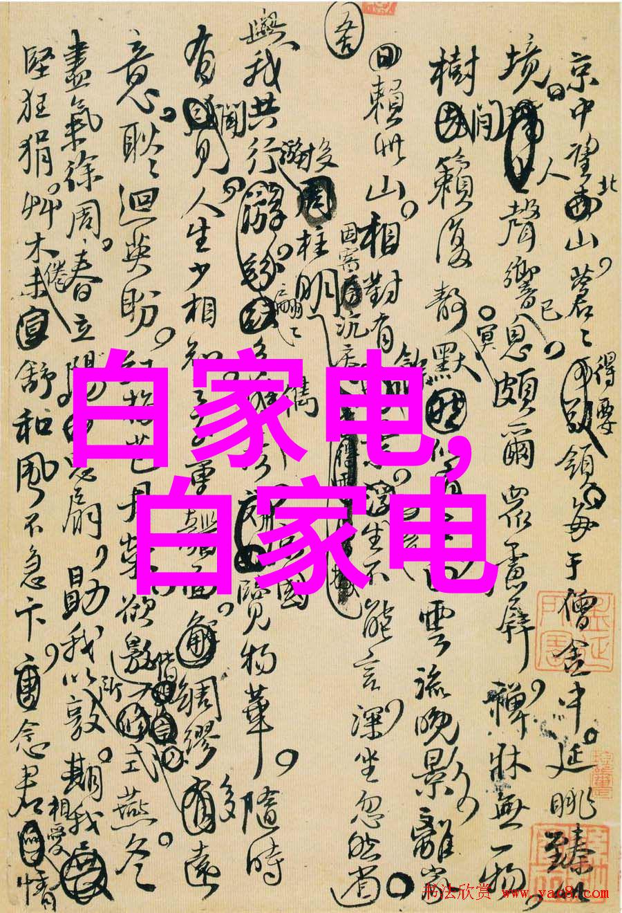 破浪而出创意无限 2017年的锤子新产品展示大师班