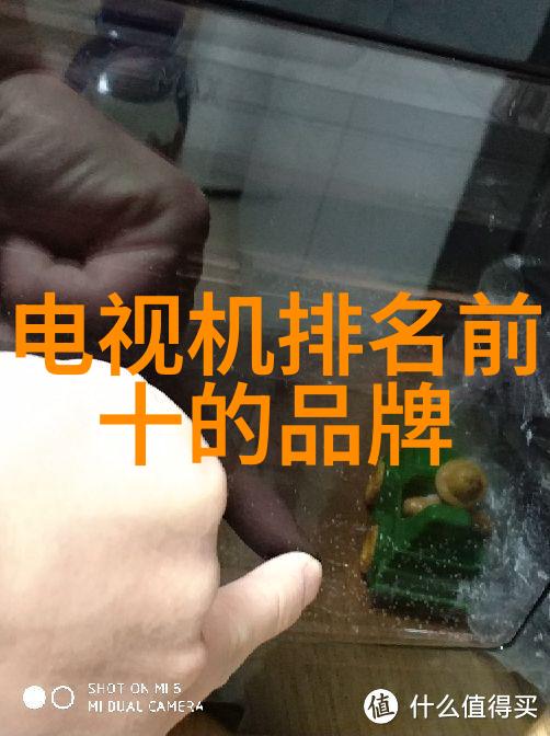 微波魔术如何用锡纸创造无缝烹饪体验
