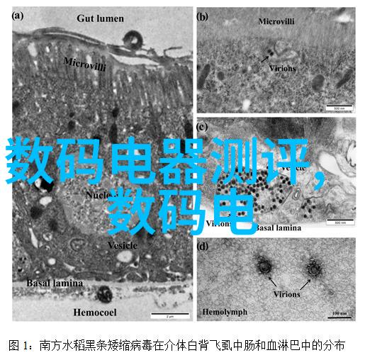 质量控制的利器介绍常见的化学成分检测仪器
