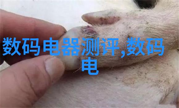 雷蒙机操作技巧分享提高工作效率和减少成本