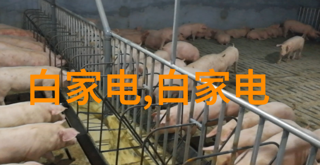 实验室成套设备我是怎么在一片混乱中找到完美的实验室大本营