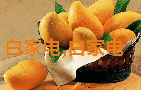 智能革命人工智能新纪元的崛起与深度融合
