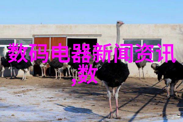 测量计量仪器-精确度量世界探讨测量计量仪器的运用与发展
