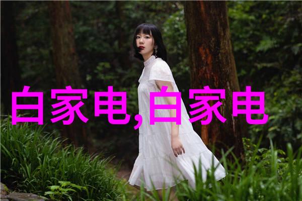 温度和湿度调节技巧让你的画廊或博物馆更完美