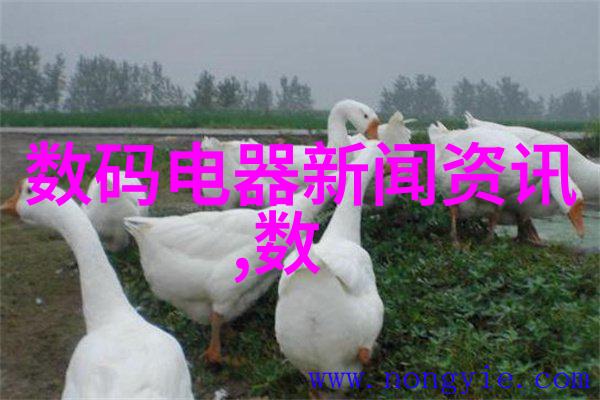梦幻童土绚烂色彩的儿童寢室奇想世界