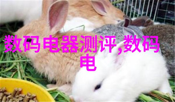 喷漆房设计方案-精致工艺与创意色彩打造完美的室内装饰空间