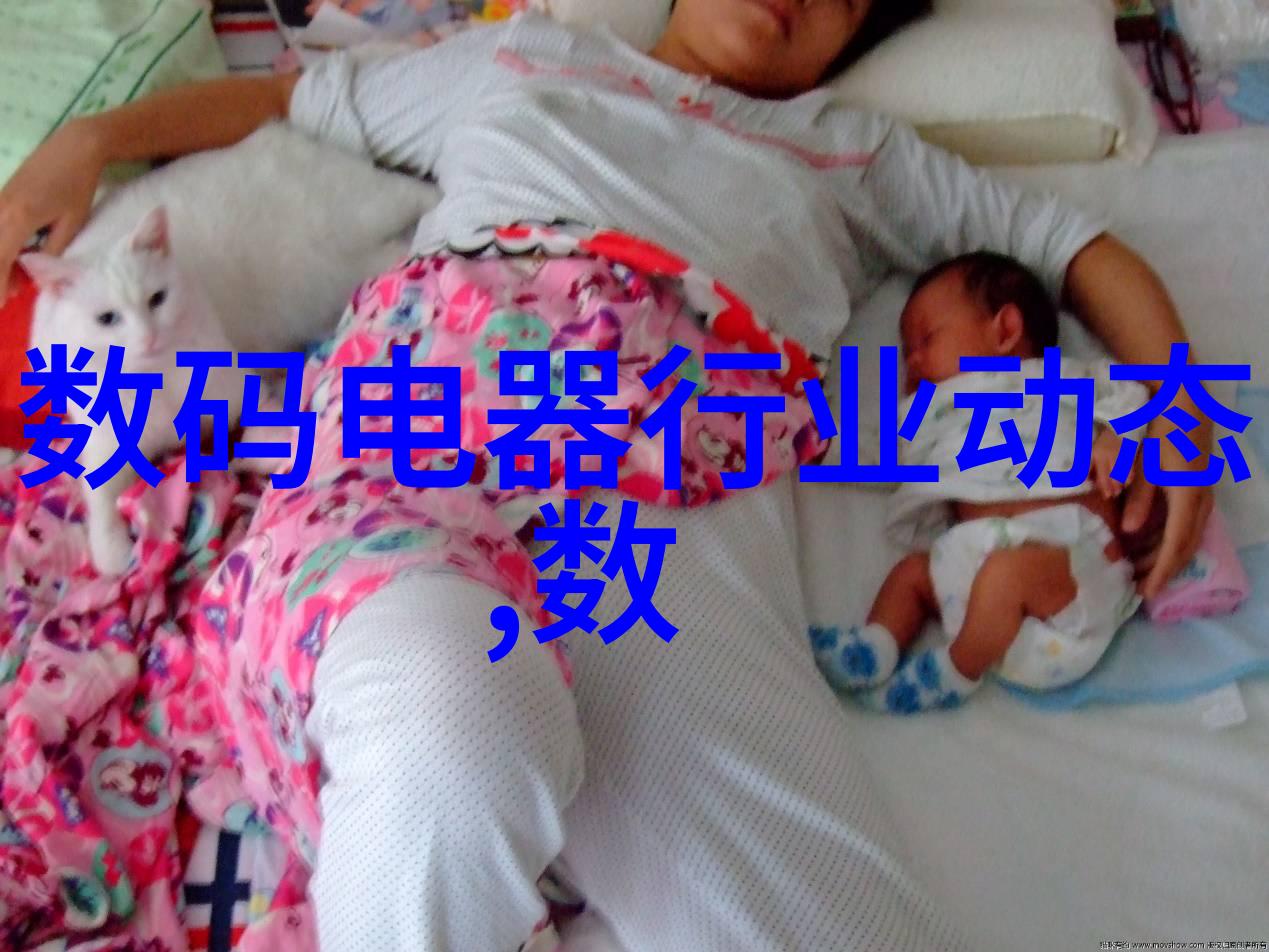 家用洗碗机买什么牌子的好- 选择适合家庭的洗碗机品牌与型号
