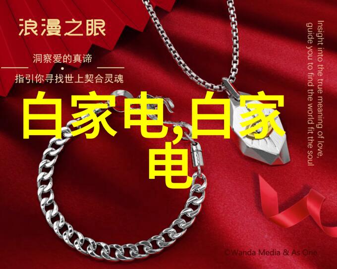 塞入心房的秘密与守护不渝的承诺