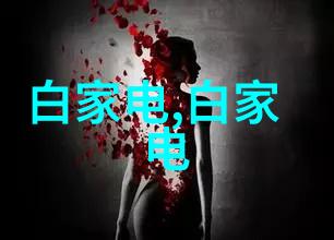 不锈钢市场定价机制深度剖析