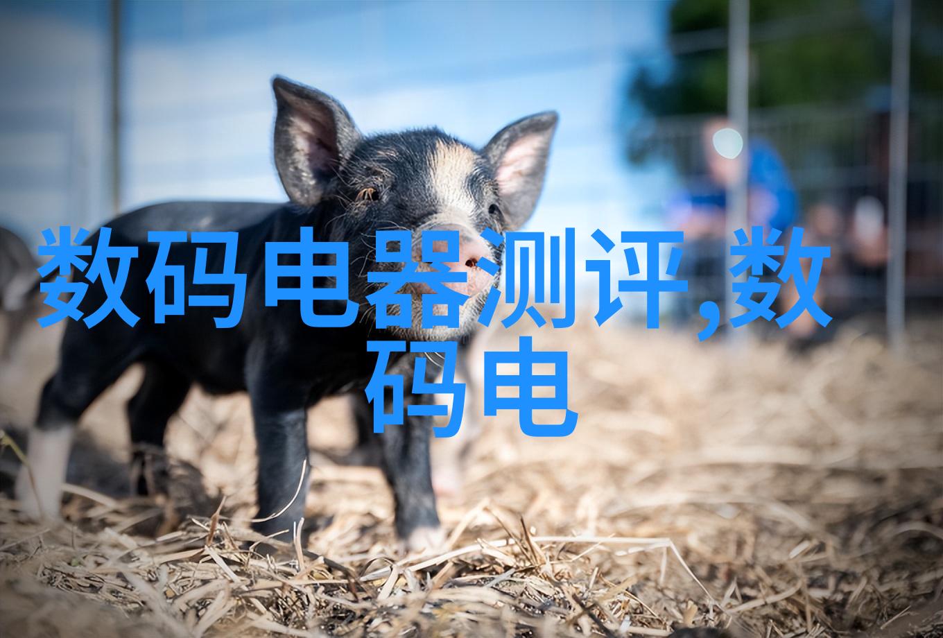 郑州工业应用技术学院的历史沿革有哪些重要节点