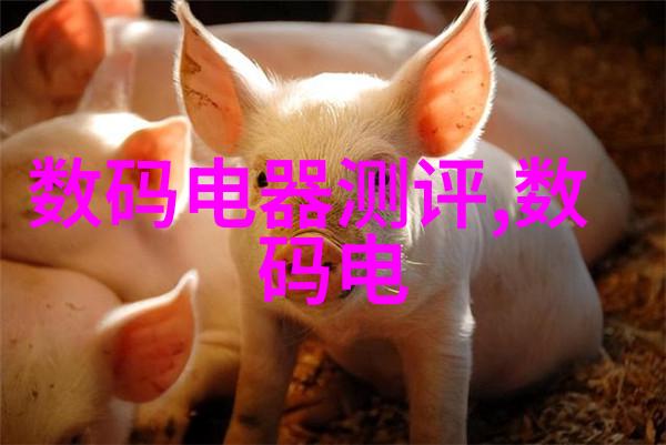 医院高温灭菌设备-超声波消毒技术革新确保医疗器械的无菌安全