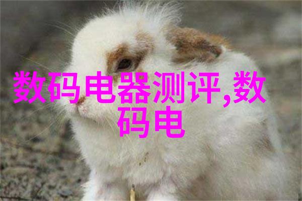 地图的智慧探索ditu背后的历史与科技
