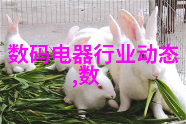科技前沿数码电器行业动态解析