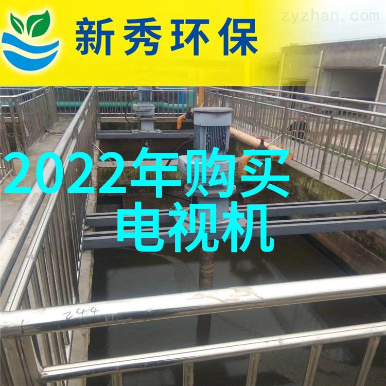 装修设计方案 - 精致居所打造梦想般的家庭生活空间